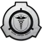 ∙ Combat Medics ∙
