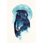 Midnight owls club