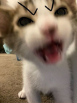 Thantara
