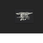 PAST DEVGRU