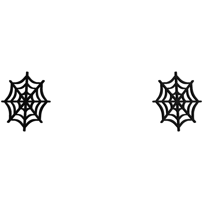 Halloween Spider Web Dual Hair Clips 🕸️