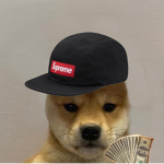 Doooge studios