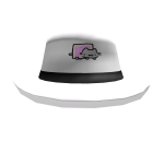 Nyan Cat Fedora!