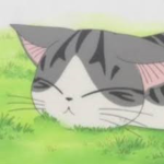 Kitten Official Fan Group