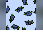 { the blueberries}