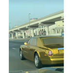 Taimhahabi9
