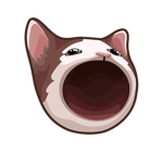 pop cat gang group