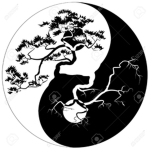Master Tycoon Fan Group!