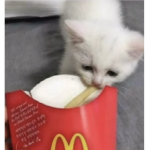 Jordmanj