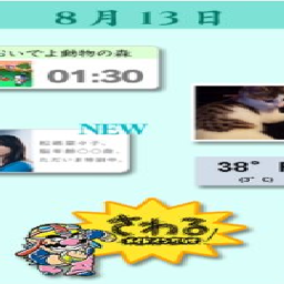Experience #2806503846
