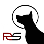 Reign Studios