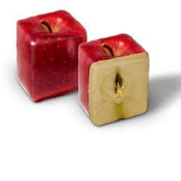 blox fruit but better