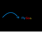 FlyGo TM