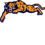 Jaguar Inc ®