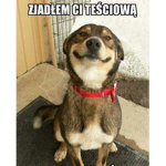 9999999999956gffgb