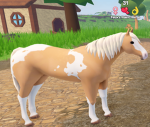 Botw Fan Group