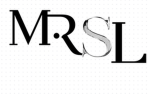 [MRSL] - Major Roblox Soccer League