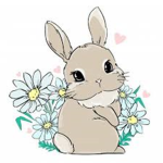 COlorfulbUnny