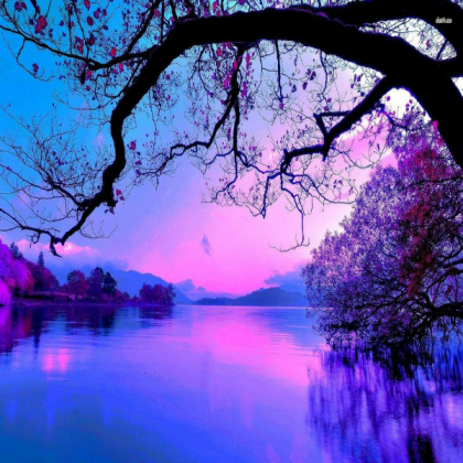 purple Roblox decal