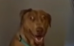 こっち