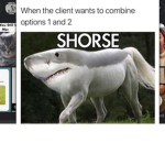That_Meme_Lord