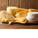 THE CHEESE SUCKERSZZ