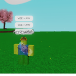 THE YEE HAW GANG