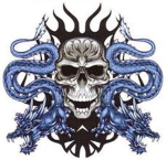 the gang the skull riders