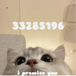 i promise you