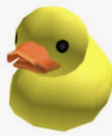 The rubber ducky clan!