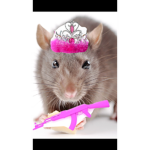 RatuWubakas