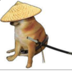 Doge training to kill cats