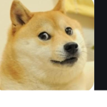 Doge Dog Faces