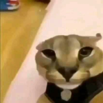 Un como cualquier otro