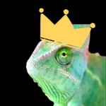 Chameleons Rule