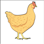 We talking about our chicken god!