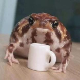 𝙾