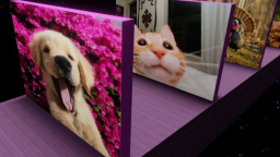 Zgadnij Zwierzę!🐻