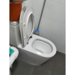 toilet rules
