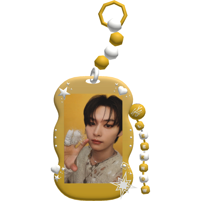 STRAYKIDS Lee Know Photocard SKZ Kpop Keychain