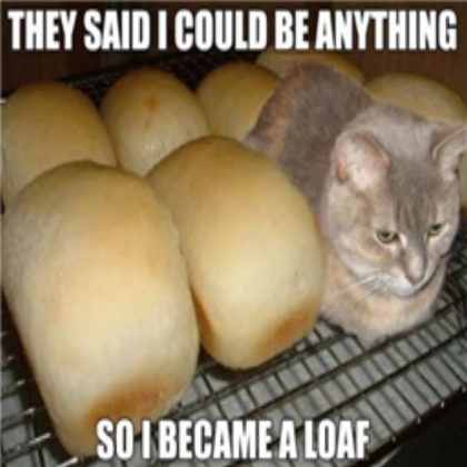 Funny cat meme [200 Takes!] Roblox decal