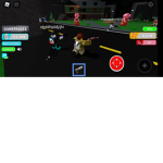 Roblox instructions