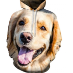 hoodie_ GANG
