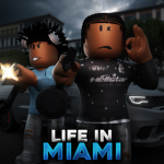 Life In Miami city