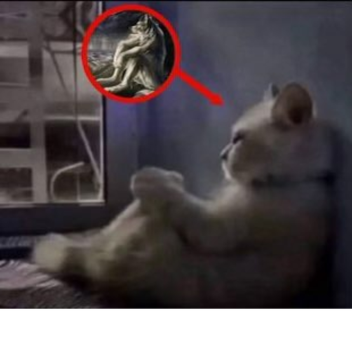 rawrxdmeow