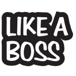like a boss style