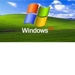Windows xp