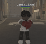 Bronx Chronicles Roleplay