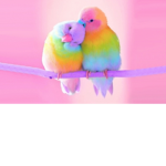 Pride Birds
