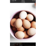 Eggo /duck army